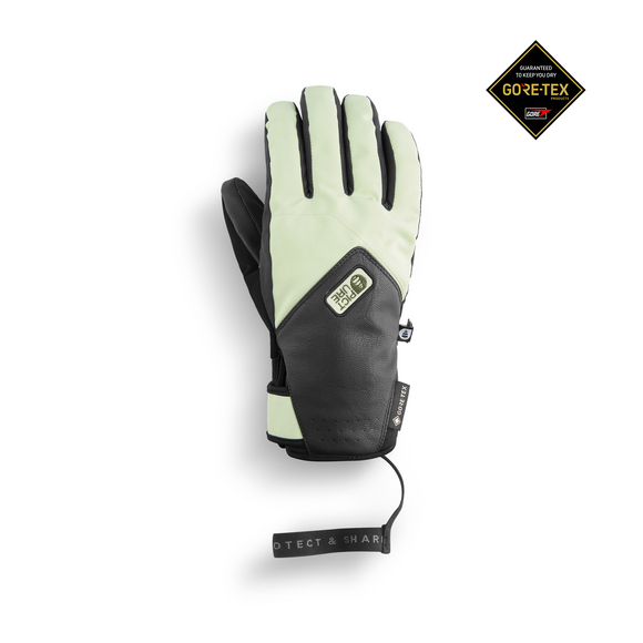 Picture Adults Ski and Snow Gloves - Pioneer Gor-tex
